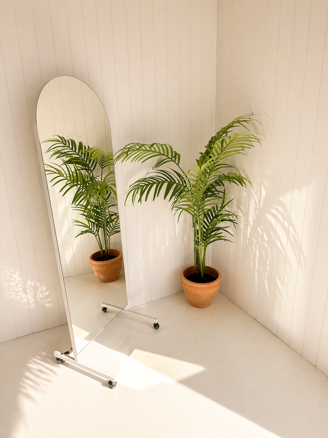 Full-length arched mirror and potted palm in the natural-light photography studio at 72 Studios